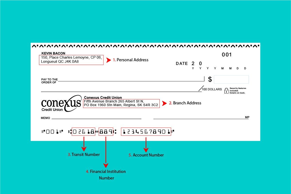 Conexus Credit Union Sample Cheque: Everything you need to know to find and understand it