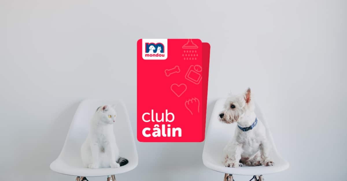 Club Calin