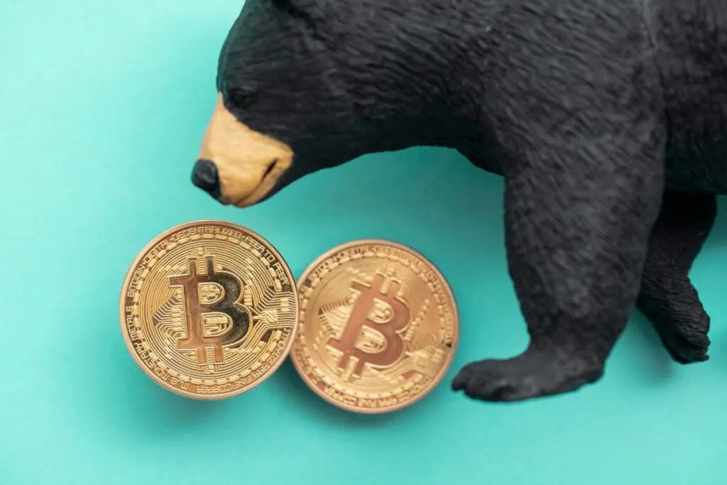 CoinSmart bear