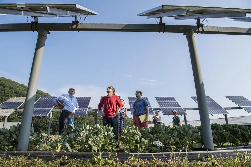 the man is checking the solar panel