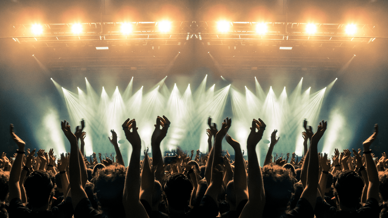 a crowd of people at a concert