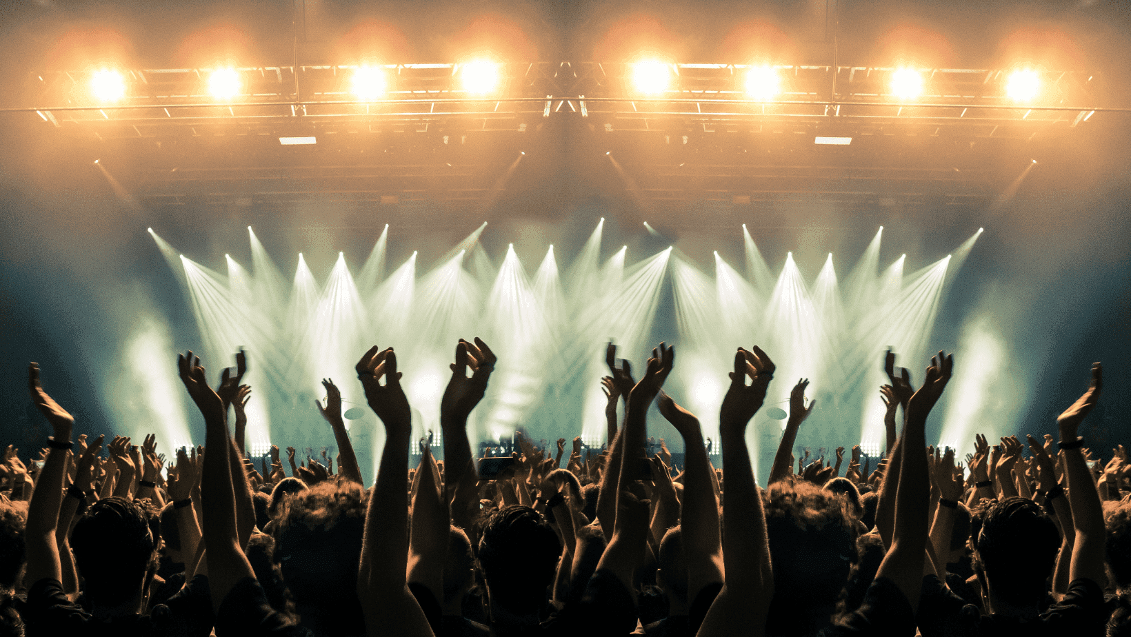 a crowd of people at a concert