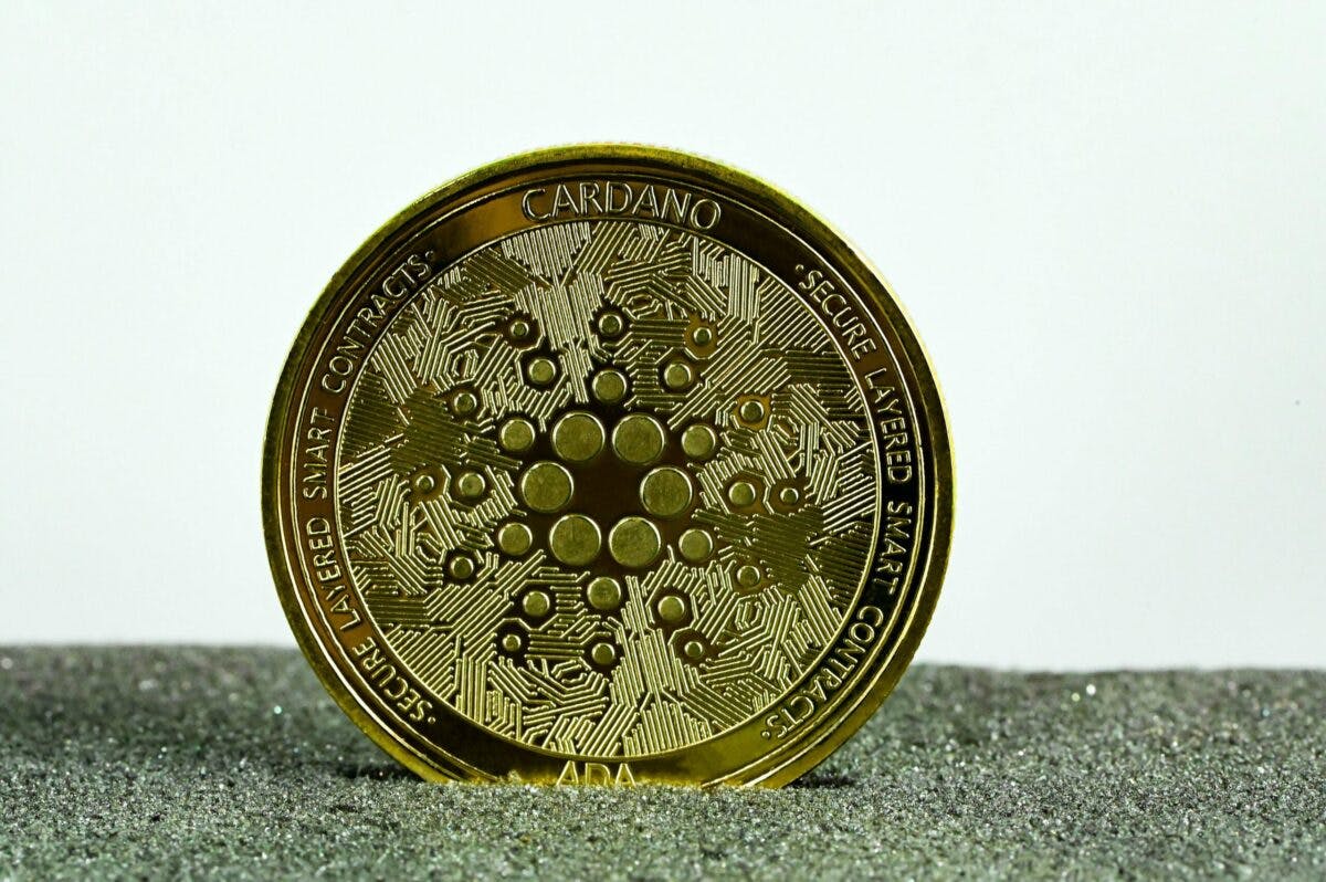 Best Cardano wallet