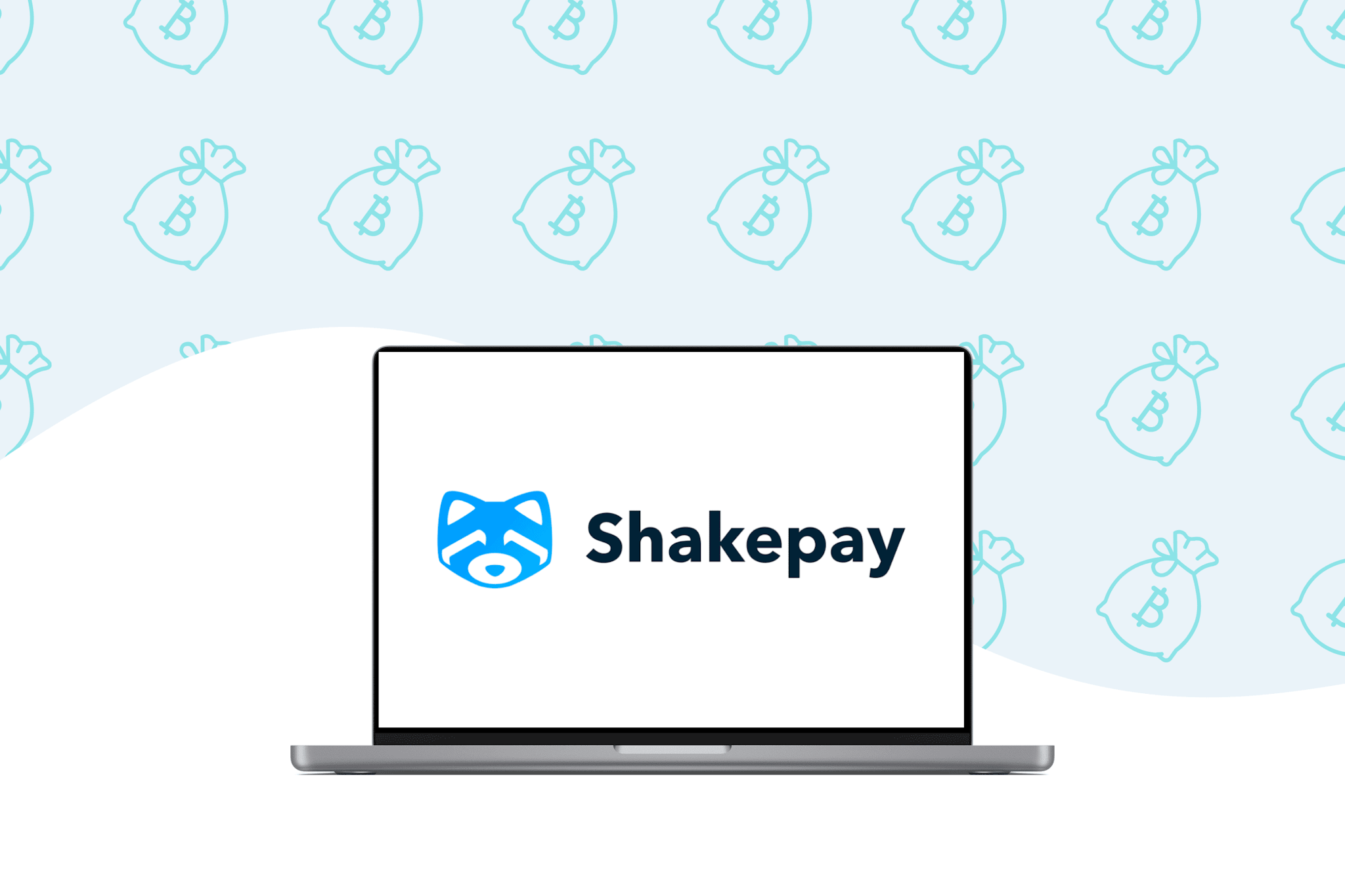 shakepay-review