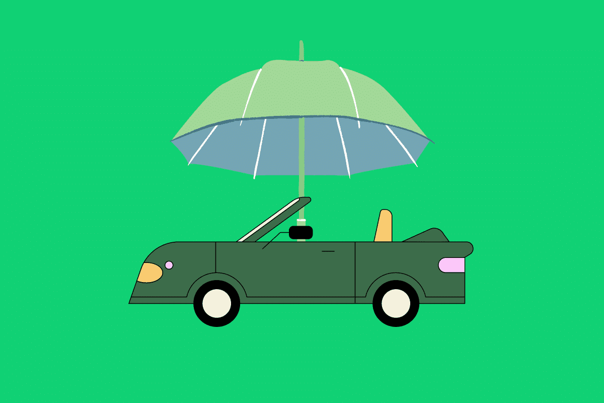 a car with a umbrella