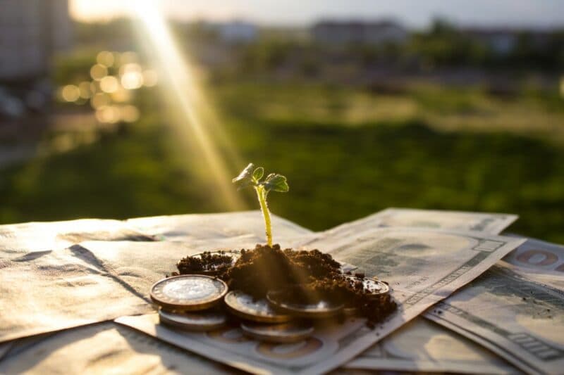 cannabis-investors-stocks-profitable-growing-e1634829036906